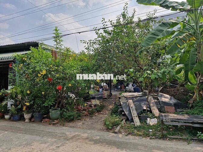 ĐẤT 163M2 NỞ HẬU - Trung Tâm Trường Thọ - 7,5 Tỷ