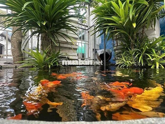 🔥🔥 BIỆT THỰ MINI SÂN VƯỜN – 140M2 NGANG KHỦNG 10M- GIÁ CHỈ: 4.15tỷ