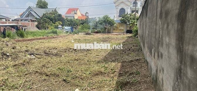 ĐẤT NỀN BIỆT THỰ 368M – FULL THỔ - GIÁ: 6 TỈ 2 – AN PHƯỚC, LONG THÀNH