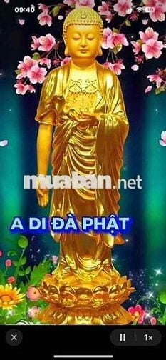 cần bán bớt xe Adidaphat 2009 chính chủ