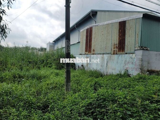 800m2 đất Mặt Tiền Đường mà hơn 9tỷ. Chủ rất ngộp luôn Nhanh mới kịp.
