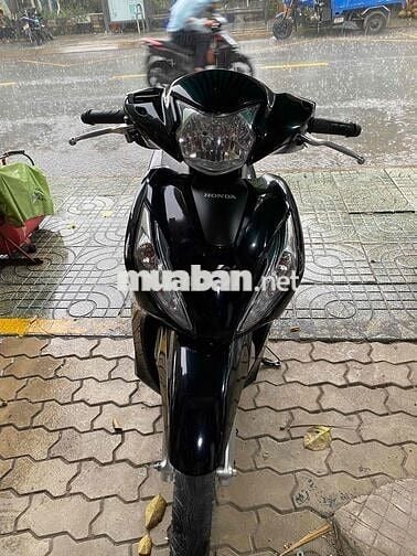 vioson 2023 biể Tp
