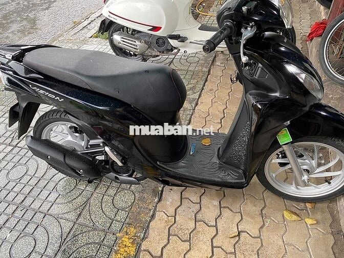 vioson 2023 biể Tp