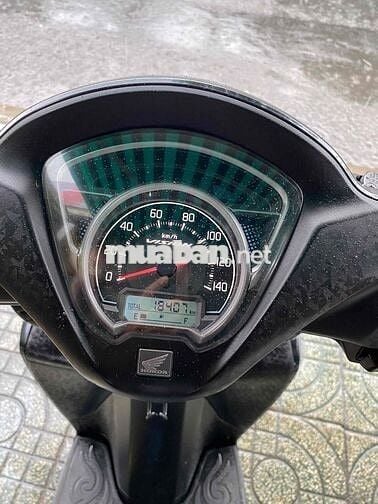 vioson 2023 biể Tp