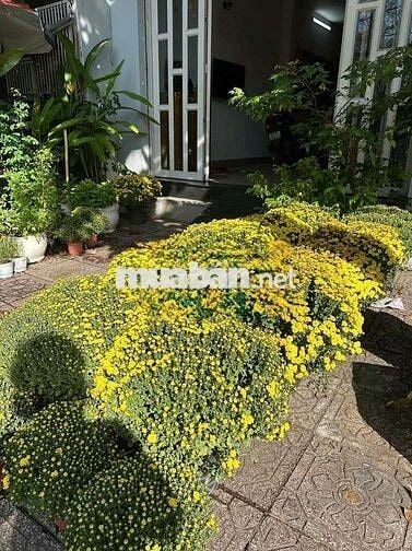 Cho Thuê Mặt Bằng Kinh Doanh Mặt Tiền Nguyễn Tiểu La Q10