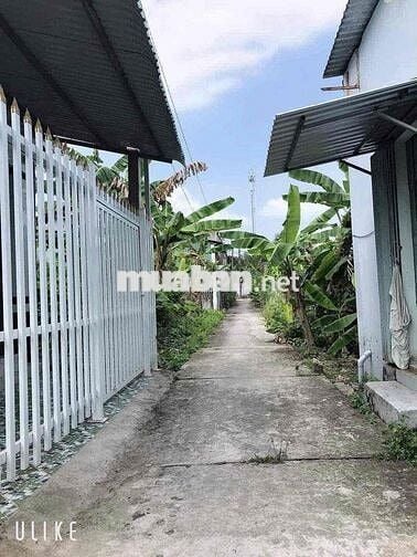 NHẬN CHÍNH CHỦ ĐẤT NỀN ĐƯỜNG VƯỜN ỔI PHƯỜNG 3, TP VĨNH LONG