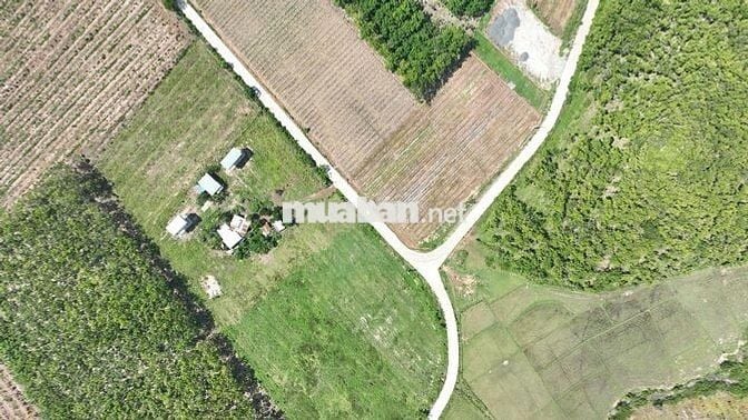 Đất Nền 224m² Bình Phước Thanh Toán 183 Triệu Nhận Tiền Thuê Ngay