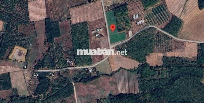 Đất Nền 224m² Bình Phước Thanh Toán 183 Triệu Nhận Tiền Thuê Ngay