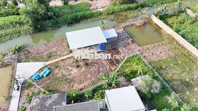 Bán khu vườn nghỉ dưỡng, trồng cây ăn trái,phú thạnh,tân phú đông TG
