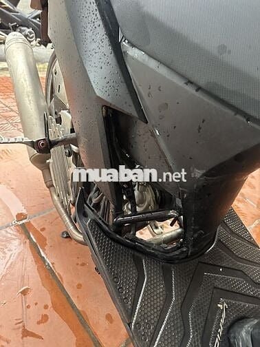 Vario 2024