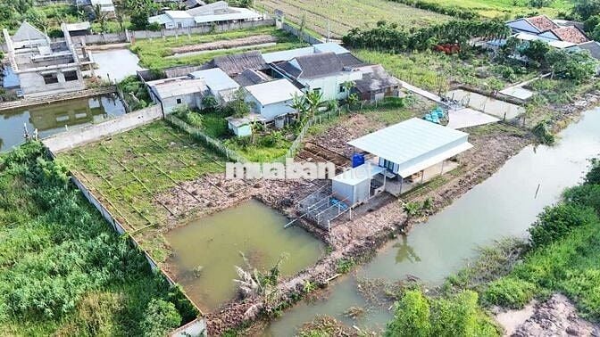 Bán khu vườn nghỉ dưỡng, trồng cây ăn trái,phú thạnh,tân phú đông TG