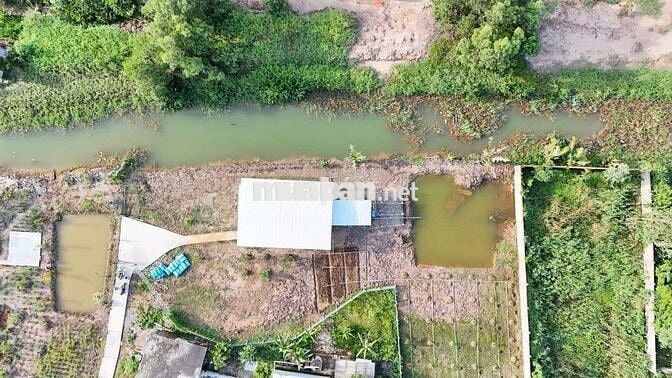 Bán khu vườn nghỉ dưỡng, trồng cây ăn trái,phú thạnh,tân phú đông TG