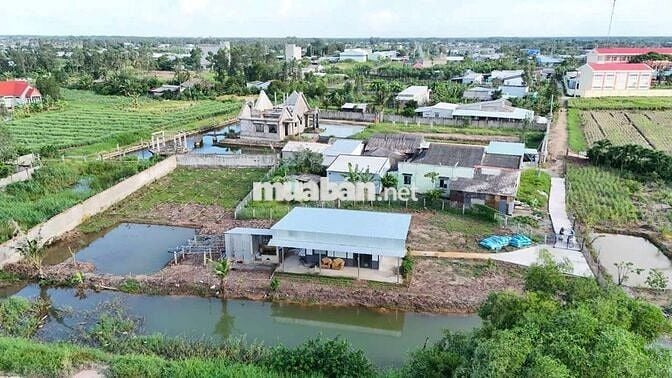 Bán khu vườn nghỉ dưỡng, trồng cây ăn trái,phú thạnh,tân phú đông TG