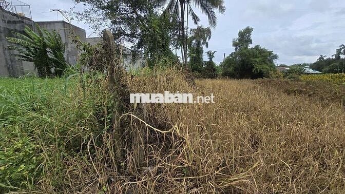 Đất mặt tiền đường 177 giá 2.8 tỷ 1 lô
