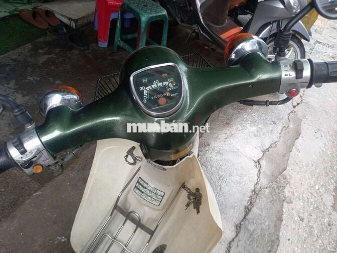 Cúp nhật đề