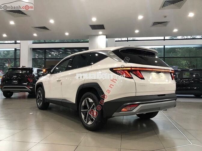 Hyundai Tucson đặc biệt