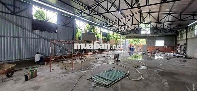 cho thuê 500mv nhị bình Hóc Môn - Giá: 12tr/th