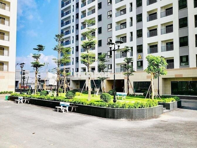Iris Tower, 55 m², tầng 8, sổ hồng: 1,560 tỷ. Nhận ký gửi