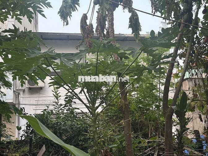 80m2 đất Thuỵ Phương, đường to thoáng rộng, vị trí trung tâm