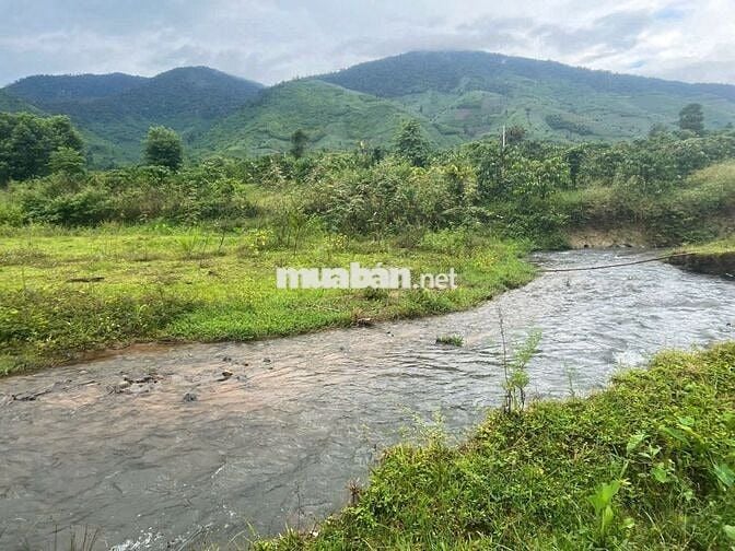 ĐẤT GIÁP SUỐI- VIEW ĐẸP TẠI KRONG BÔNG- DAKLAK