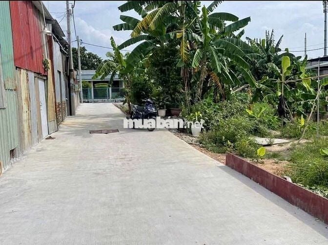 BÁN ĐẤT THỔ CƯ GẦN TRƯỜNG THCS TAM ĐÔNG 1. NGUYỄN THỊ NGÂU VÀO 100M.