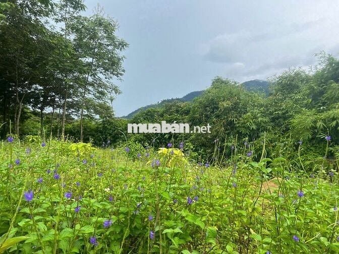 ĐẤT GIÁP SUỐI- VIEW ĐẸP TẠI KRONG BÔNG- DAKLAK