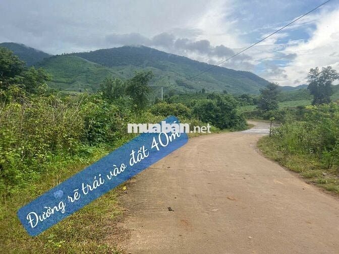 ĐẤT GIÁP SUỐI- VIEW ĐẸP TẠI KRONG BÔNG- DAKLAK
