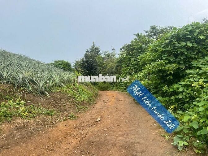 ĐẤT GIÁP SUỐI- VIEW ĐẸP TẠI KRONG BÔNG- DAKLAK