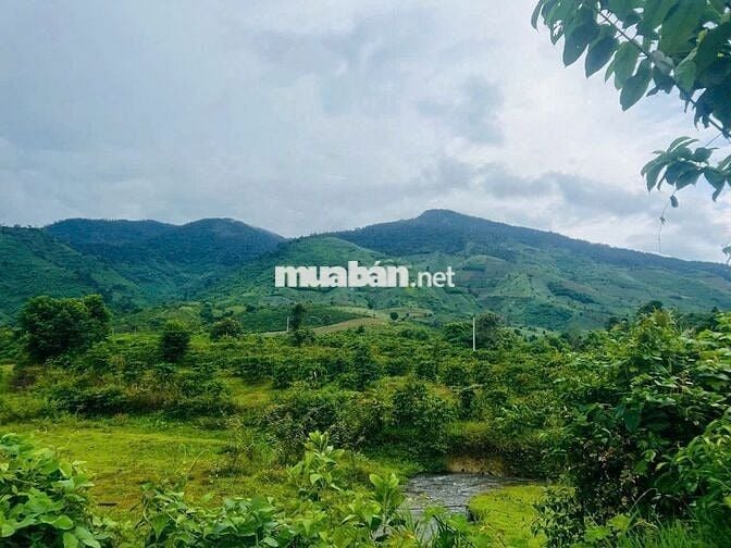 ĐẤT GIÁP SUỐI- VIEW ĐẸP TẠI KRONG BÔNG- DAKLAK