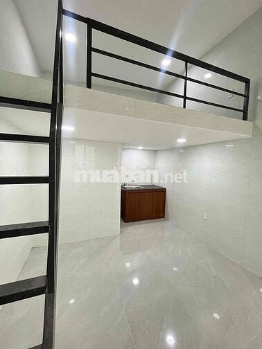 Phòng Không chung chủ, Giờ giấc tự do
