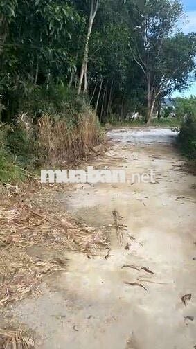 Đất Hòa Bắc- 400m2- có 260m2 đất ở