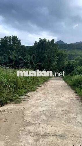 Đất Hòa Bắc- 400m2- có 260m2 đất ở