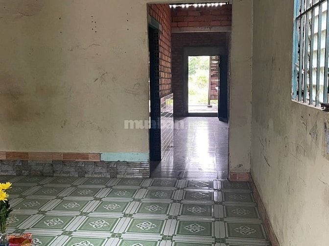 CHO THUÊ 2 CĂN NHÀ LIỀN KỀ ĐƯỜNG SÔNG LU- CỦ CHI