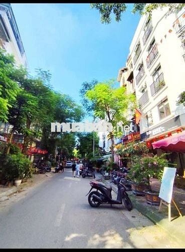 Tôi cần bán nhà mặt ngõ ô tô chánh đỗ kinh doanh vỉa hè Hồng Mai .