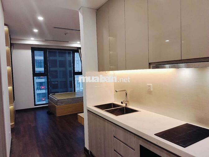 Studio 30m Masteries (toà A nội khu) Vinhomes smartcity. Full nội thất