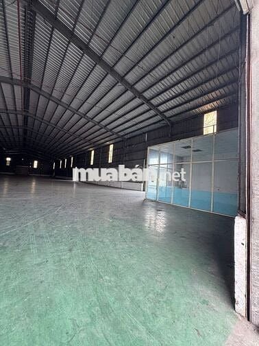 Kho Xưởng 2000m² Mặt Tiền Trần Đại Nghĩa Container 24/24, Chỉ 75K/m²