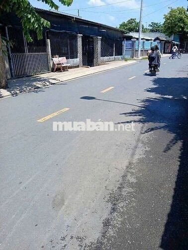 ĐẤT MẶT TIỀN SHR🫰12M×21M.XÂY BIỆT THỰ .LÀM NHÀ VƯỜN VÍP NHẤT .