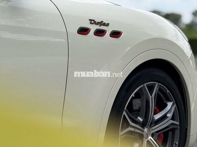 Maserati Lavante "Trofeo"