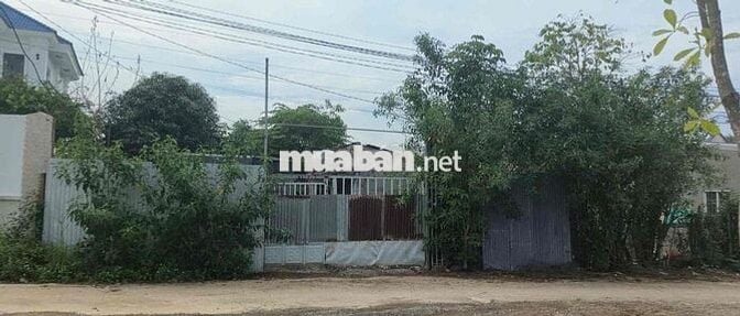 Chính chủ bán đất hẻm xe hơi xã Hưng Thịnh, Trảng Bom, Đồng Nai