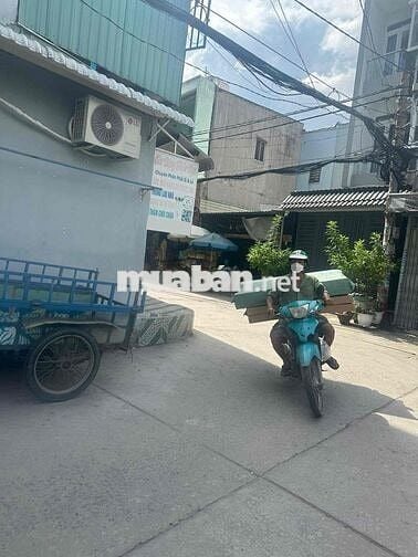 nhà thuê Bùi Tư Toàn, 6tr, 64m2 3PN, sạch sẽ, mới, gần chợ, đường 4m
