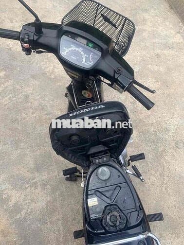 Honda Super Cub Custom 100