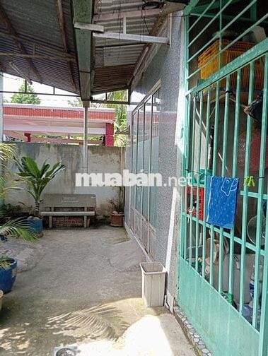 Nhà bán hoặc cho thuê nguyên căn