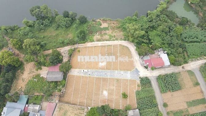 Đất thổ cư sẵn sổ Full thổ Đoài Phương - Hòa Lạc, Hà Nội
