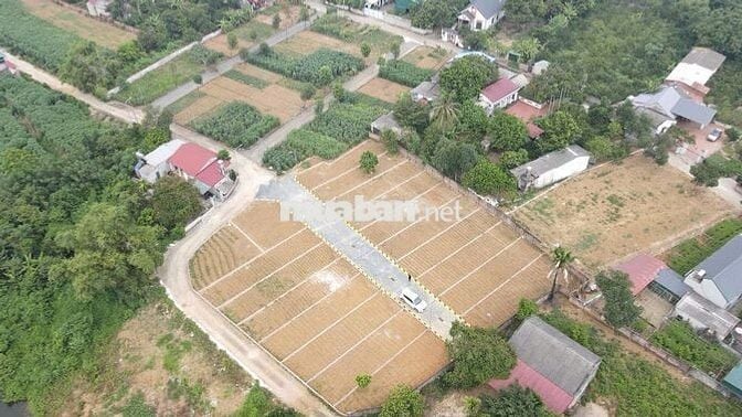 Đất thổ cư sẵn sổ Full thổ Đoài Phương - Hòa Lạc, Hà Nội