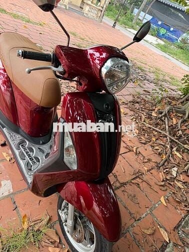 xe đẹp bền bỉ tốn ít xăng biển vip