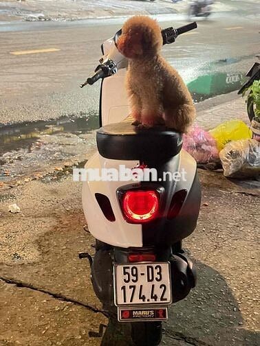 Vespa Spr125 2021 đk 2022