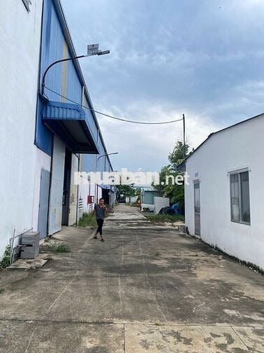 Cho thuê kho xưởng 2.700m² KCN Tân Phú Trung Củ Chi , trạm điện 560kVA