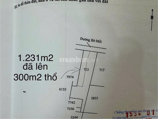 BÁN GẤP NHÀ - ĐẤT CHÍNH CHỦ ĐI ĐỊNH CƯ NƯỚC NGOÀI TẠI XÃ TÂN LÂN