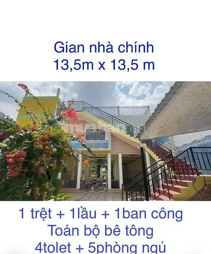 BÁN GẤP NHÀ - ĐẤT CHÍNH CHỦ ĐI ĐỊNH CƯ NƯỚC NGOÀI TẠI XÃ TÂN LÂN