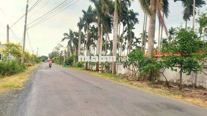 970m2 đất thổ toàn bộ đường ô tô , Kdc Bình Trinh, chốt 1 tỷ